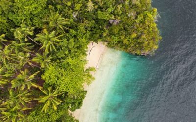 Warming world could push Southeast Asia forests toward thermal limits, new study