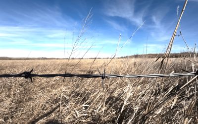 ‘The cavalry’s coming!’: Indigenous activism from 1492 to Standing Rock
