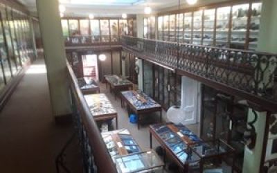 Wisbech & Fenland Museum  in Wisbech, England